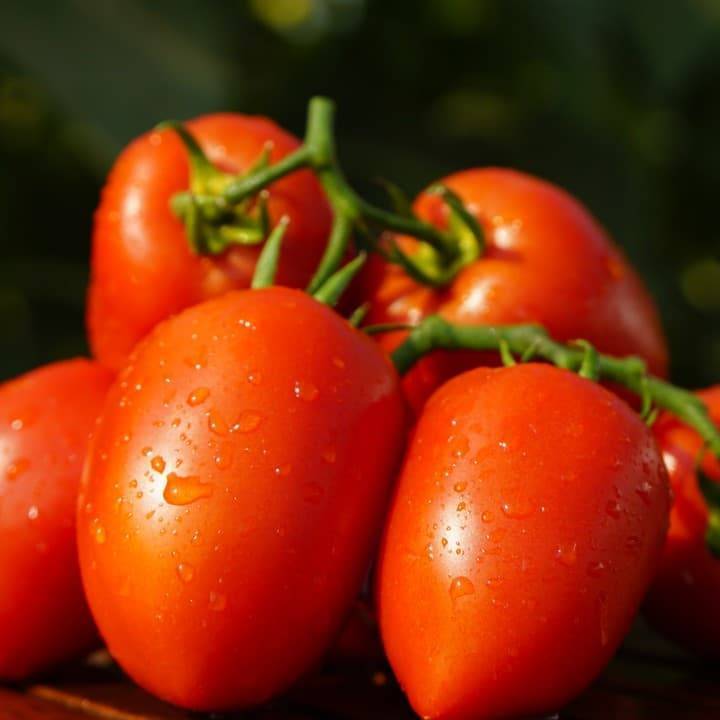 Гибрид с необыкновенным видом — томат царское искушение f1: описание помидоров и характеристики