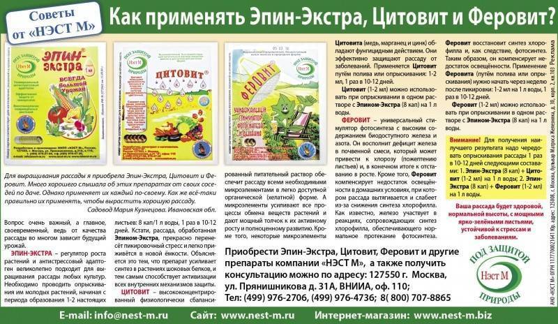 Эпин для рассады помидоров - инструкция по применению, как развести, польза стимулятора роста : гбу рк "крымский информационно-консультационный центр агропромышленного комплекса"