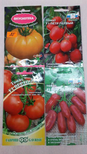 Томат гс 12 описание сорта — томат гс-12 f1: описание и характеристика сорта, урожайность с фото