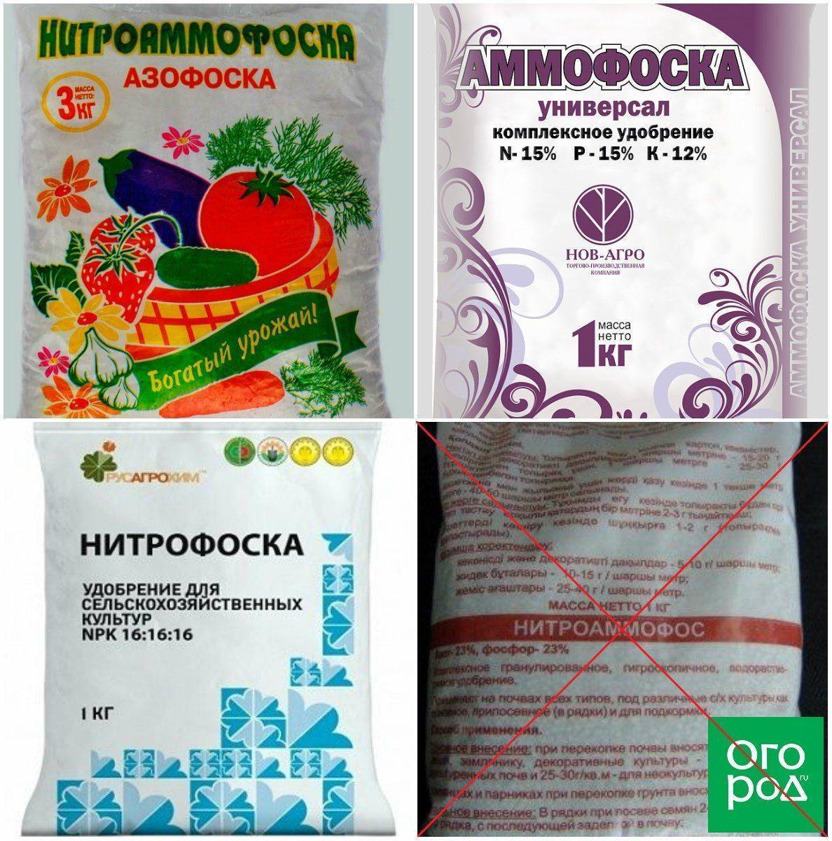 Удобрение аммофоска — когда и где применять для винограда, овощей, ягод и цветов