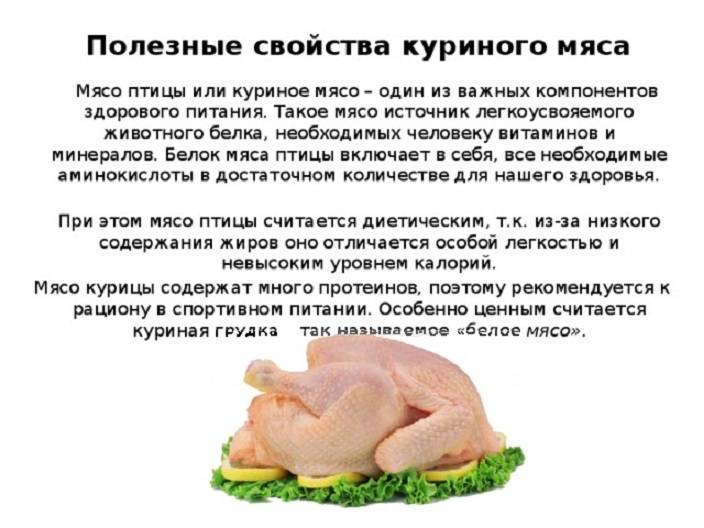 Презентация на тему мясо птицы