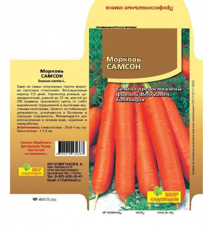 Самые лучшие сорта моркови для открытого грунта, хранения, ранние, крупные