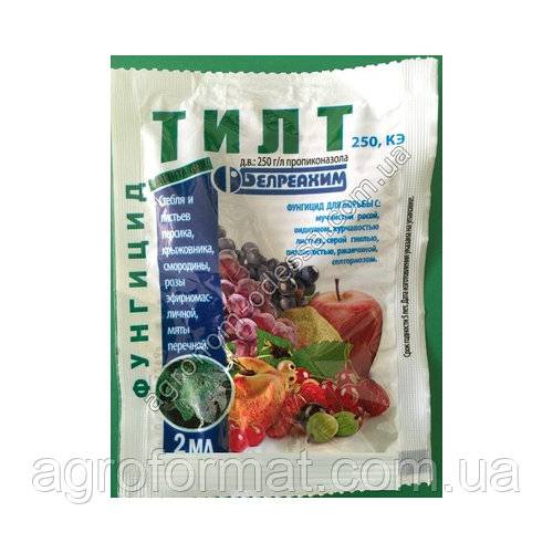 Фунгицид тилт: инструкция по применению для томатов