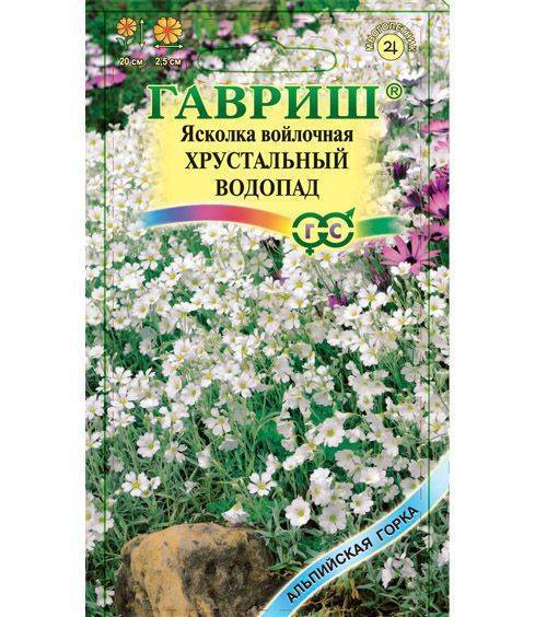 Ясколка войлочная: фото, посадка и уход