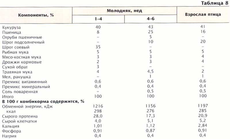Перепелята: кормление с первого дня, уход за суточными птенцами