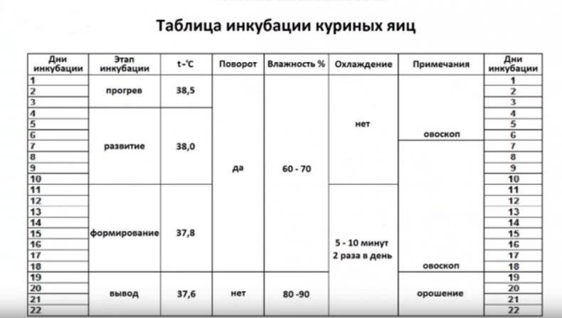 Инкубатор идеальная наседка схема