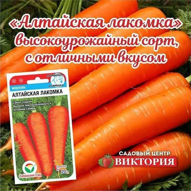 Морковь алтайская лакомка: описание, характеристика сорта, отзывы садоводов