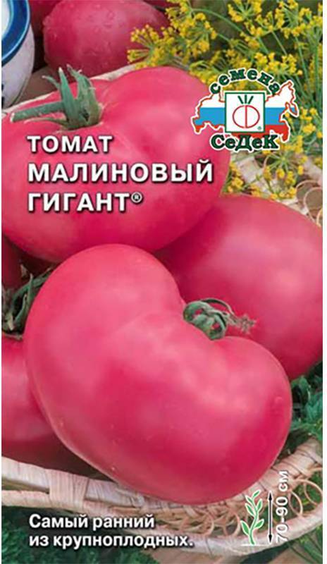 Томат малиновый гигант — описание и характеристика, фото, отзывы, видео.