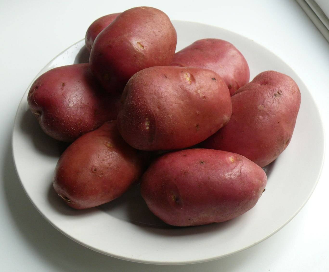 Сорт картофеля рокко