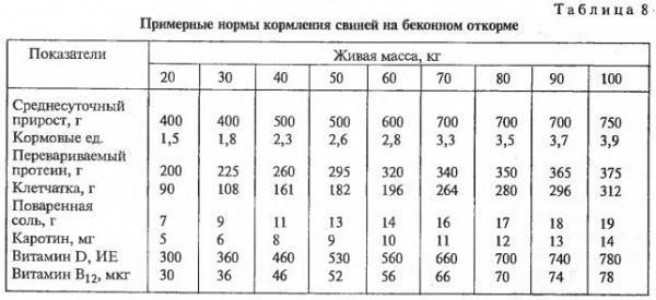 Откорм бычков на мясо: рацион и технологии
