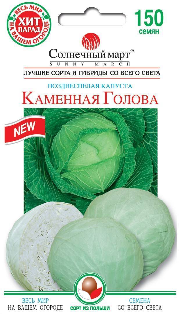 Капуста «каменная голова» отзывы, фото, описание и характеристика сорта, выращивание, посадка и уход