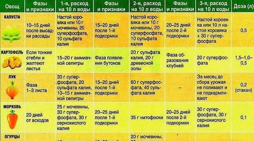 Подкормка рассады перца: когда и как удобрять