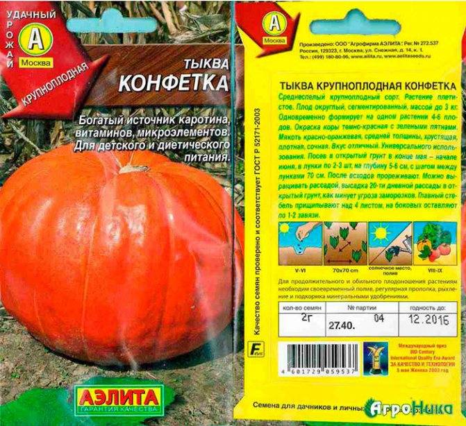 Мускатная тыквы: витаминная, жемчужина, описание сортов, фото