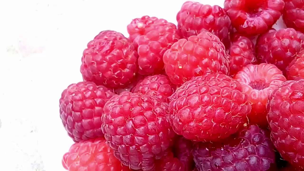Малина шапка мономаха - описание сорта, посадка и уход