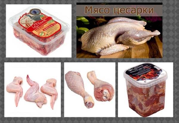 Мясо цесарки — калорийность, польза и вред