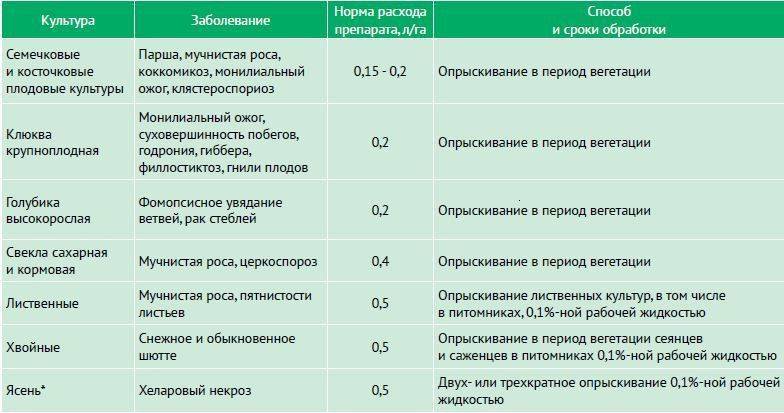 Фунгицид раек: как правильно применять, отзывы дачников об эффективности