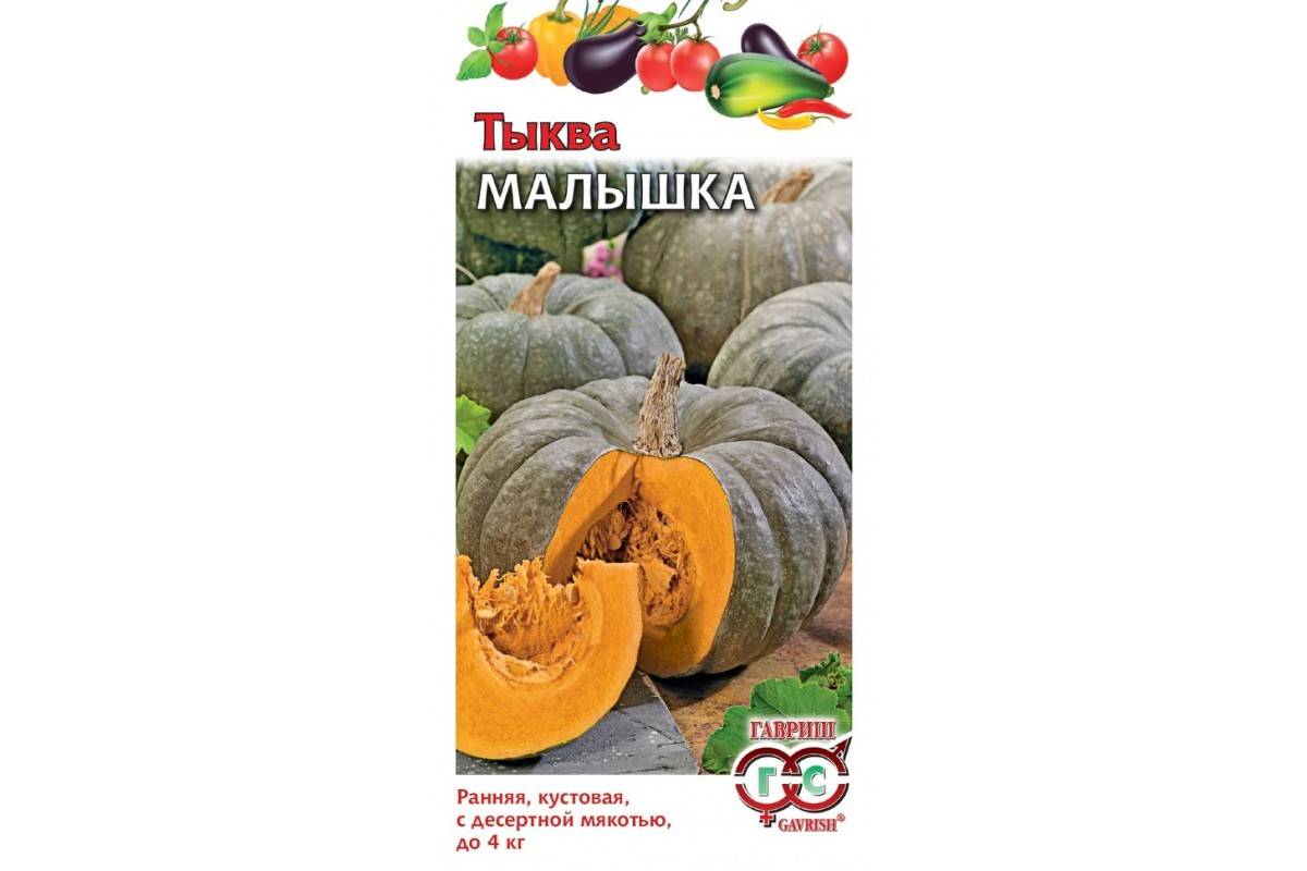 Тыква крошка: описание и характеристика сорта, выращивание и уход, сроки созревания, когда можно снимать урожай, фото