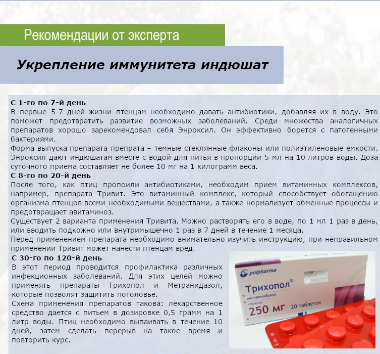 Как применяется Метронидазол для индюшат
