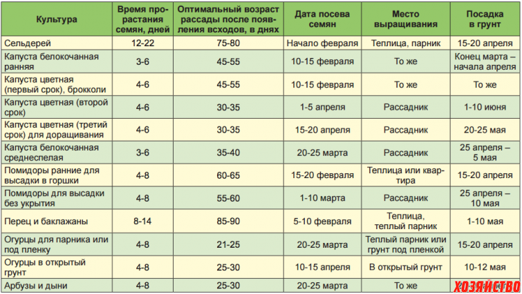 Когда и как сажать перец на рассаду в 2022 году