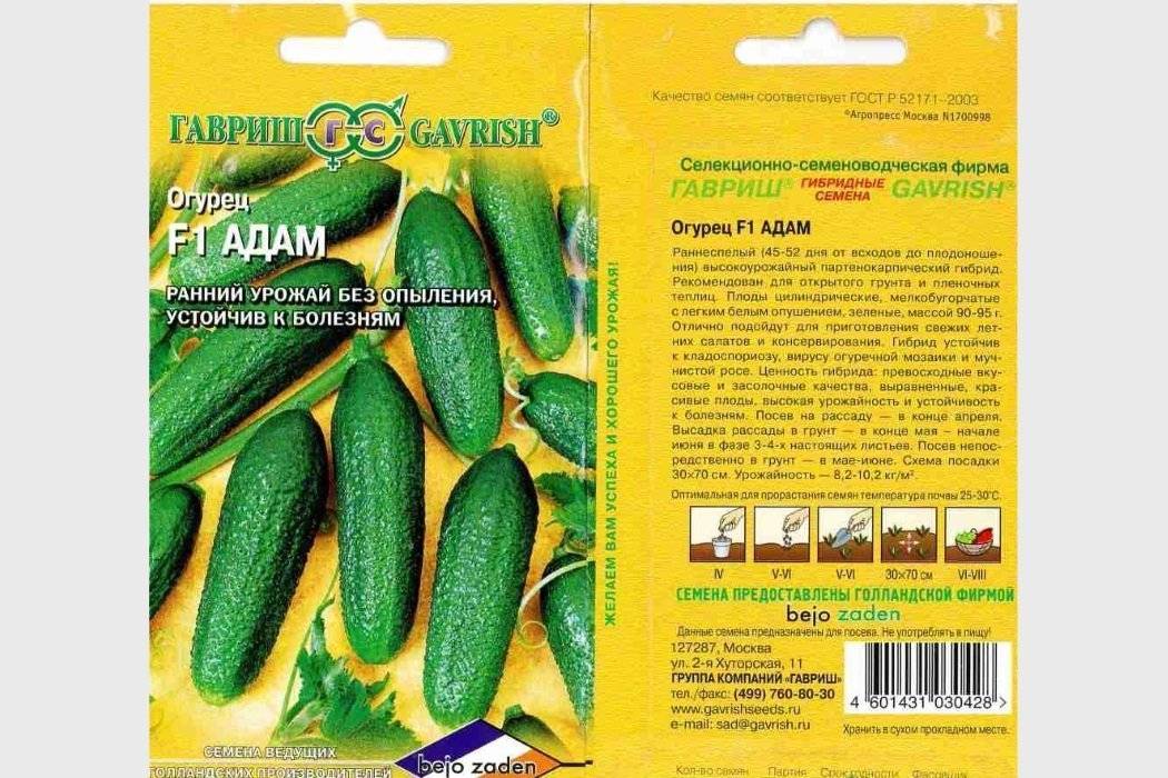 Огурцы адам: описание сорта и характеристики, уход и формирование, отзывы с фото