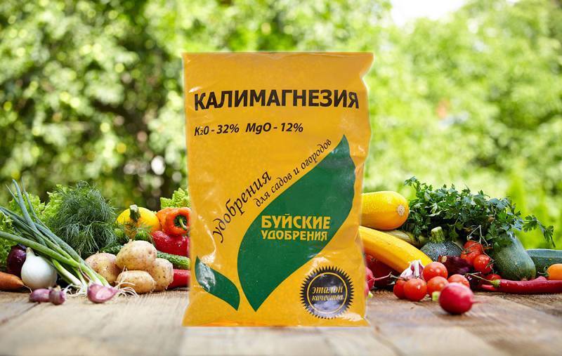 Самые полезные удобрения для хвойных: как правильно удобрять весной, летом и осенью