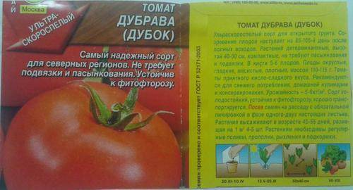 Сорт помидор дубрава: урожайность и особенности выращивания
