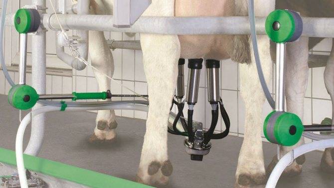Доильный аппарат для коз в домашних условиях своими руками