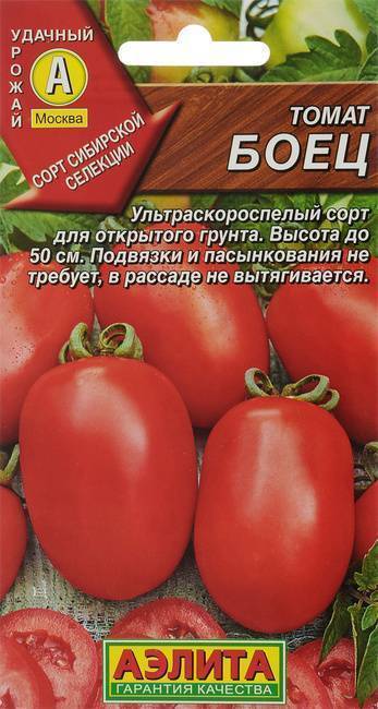 Томат «любимый праздник»: описание и характеристики сорта, фотографии помидор и рекомендации по уходу
