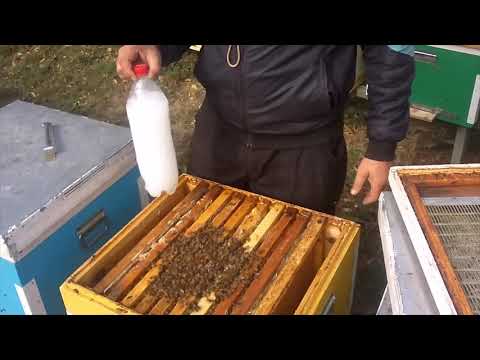 Испаритель кислоты 40 ватт, 220 вольт для окуривания пчел