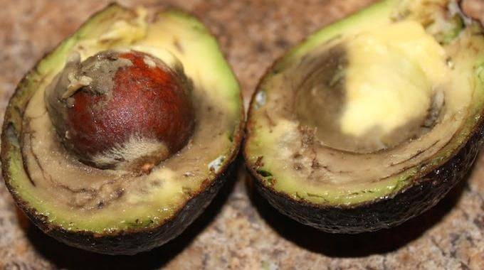 Можно ли есть авокадо коричневое внутри и что делать, если горчит