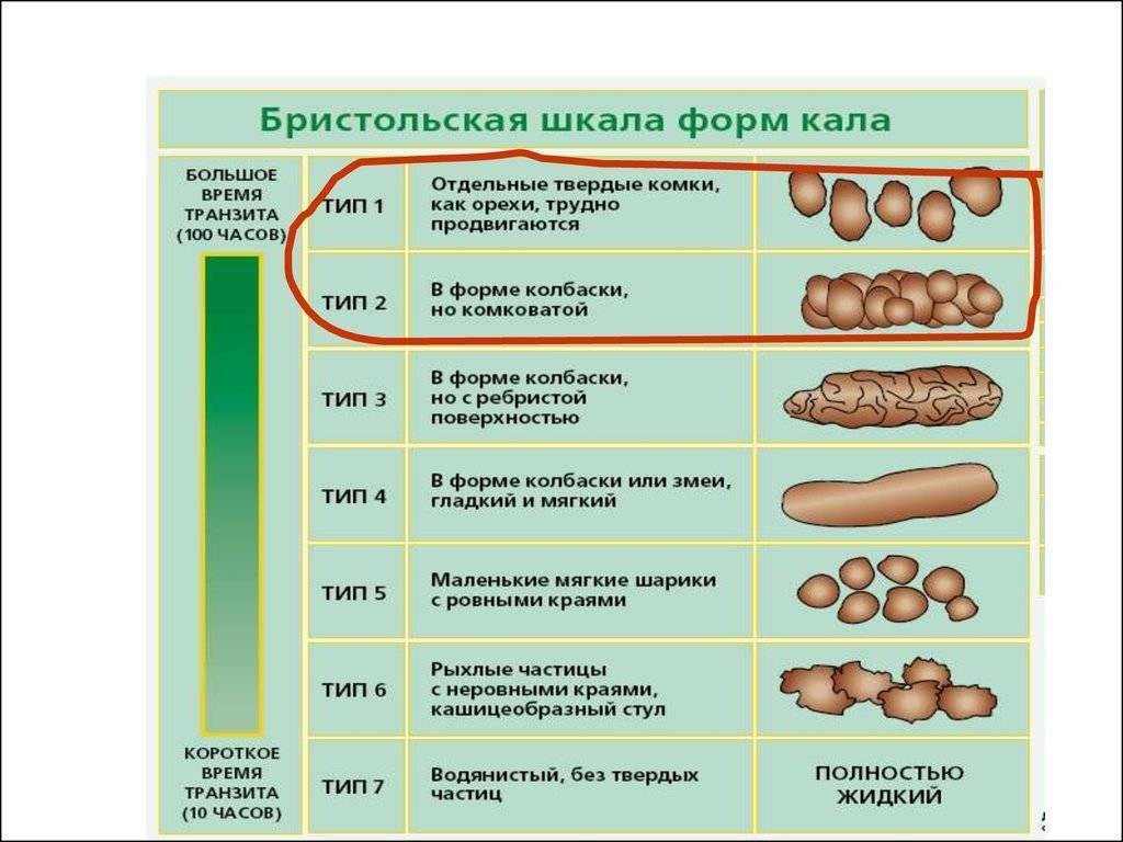 Разжижение стула это