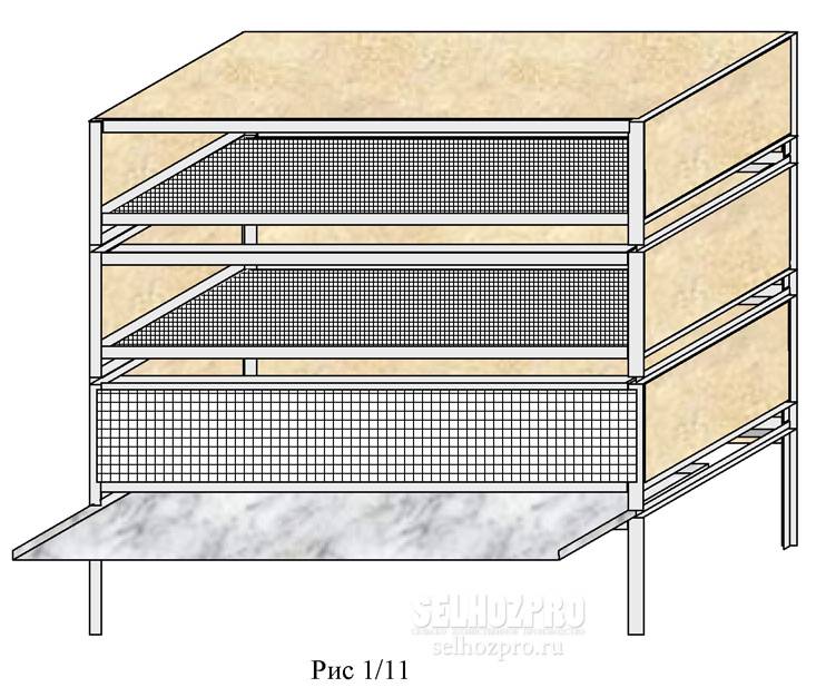 Клетки для бройлеров своими руками размеры и чертежи с фото на 20 голов
