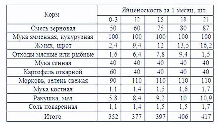Разведение индоуток в домашних условиях-индоутята