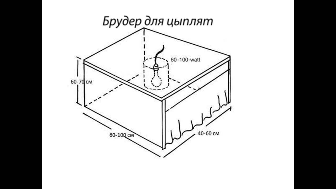 Брудер для гусят чертеж