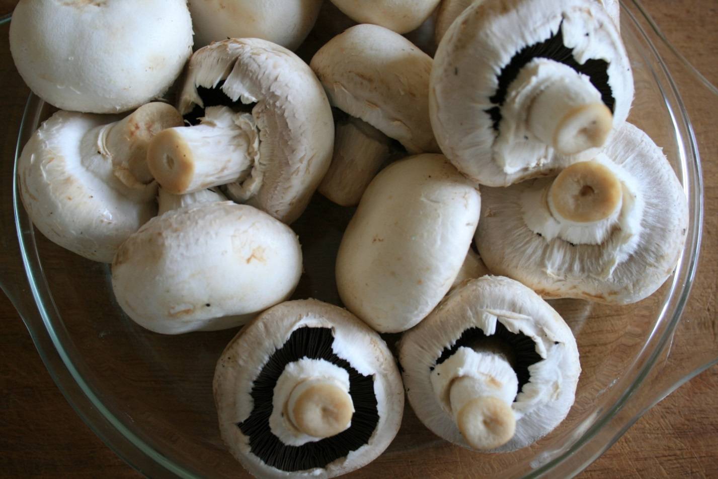 Какие можно есть грибы в лесу сырыми, список грибов