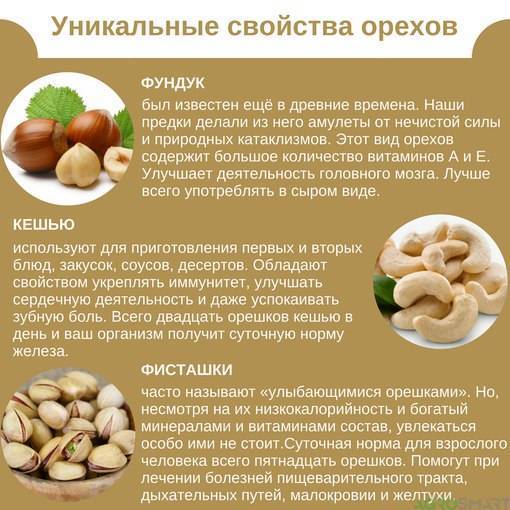 Вся правда о пользе и вреде грецких орехов — священная еда древнегреческих богов!