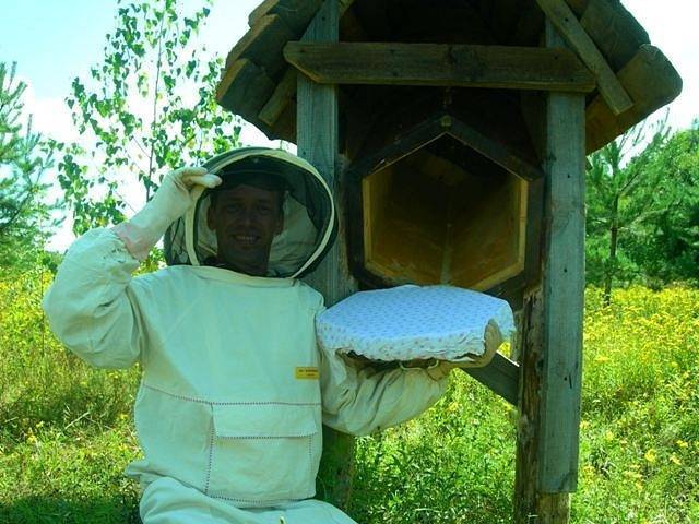 Пчеловодство в колодах — назад в прошлое или будущее современных пасек?