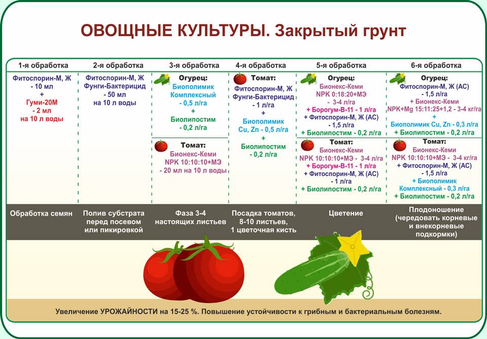 Схема удобрения цветов