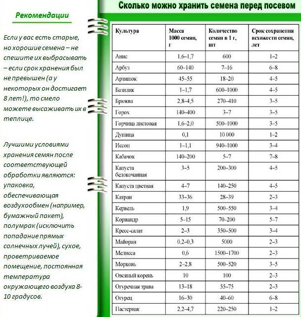 На какой день всходят семена огурцов. Сроки посадок семян капусты. Сроки посадки капусты. Через сколько всходит капуста. Через сколько выходит рассада капусты.