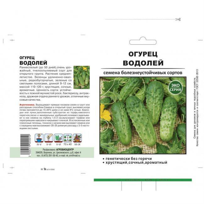 Огурцы: сорта для открытого грунта