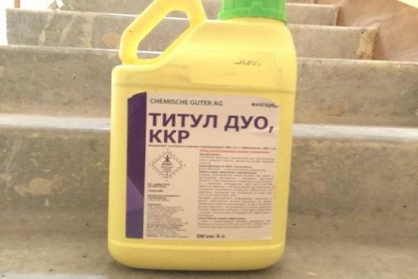 Рекс дуо — эффективный фунгицид от всех болезней