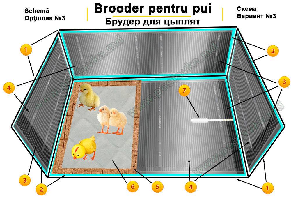 Брудер для цыплят с терморегулятором своими руками размеры и чертежи