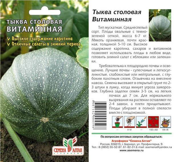 Лучшие сорта мускатной тыквы 2020 для открытого грунта: отзывы для сибири, подмосковья и средней полосы фото