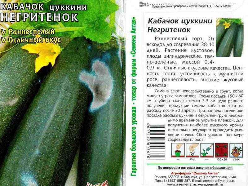 Кабачок кустовой сорта фото описание