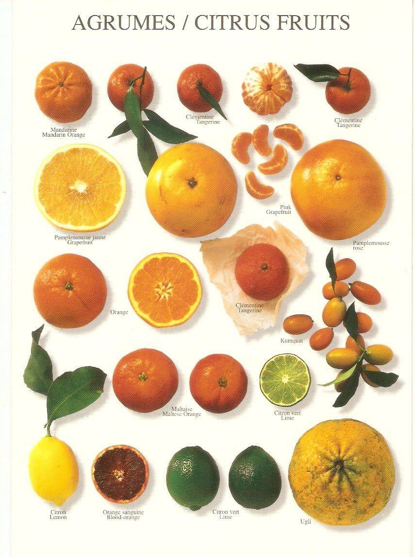 Фрукт свити – сладкий грейпфрут для похудения и укрепления иммунитета