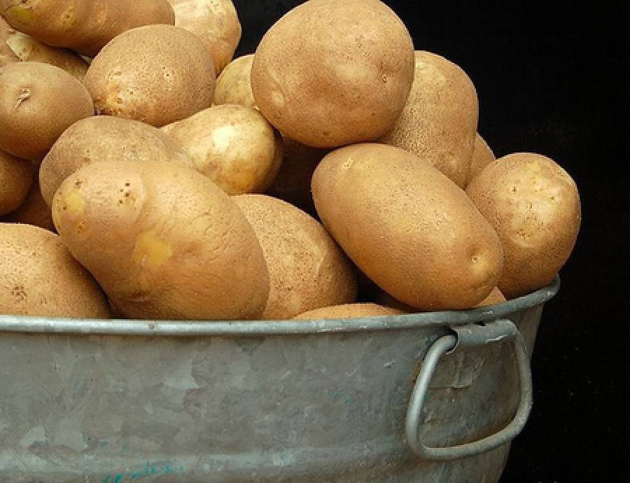 Сорт картофеля тулеевский, описание, характеристика, отзывы
