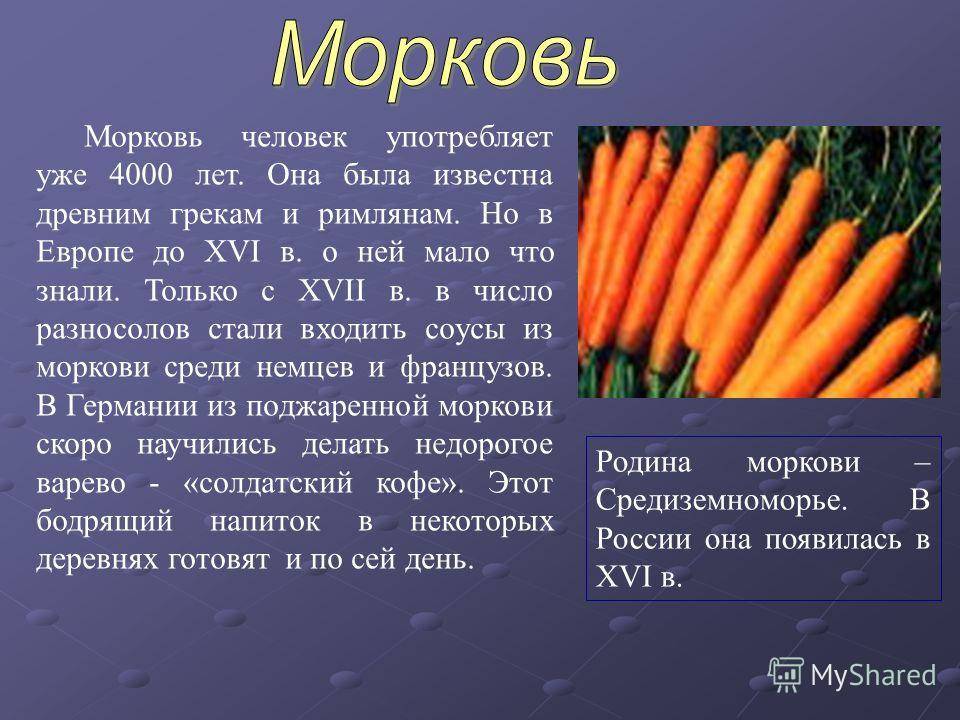 Желтая морковь и тысяча и один способ употребления