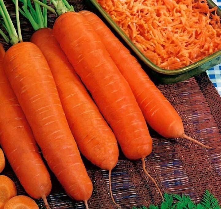 Лучшие сорта моркови: обзор разных видов сортов с описанием и фото