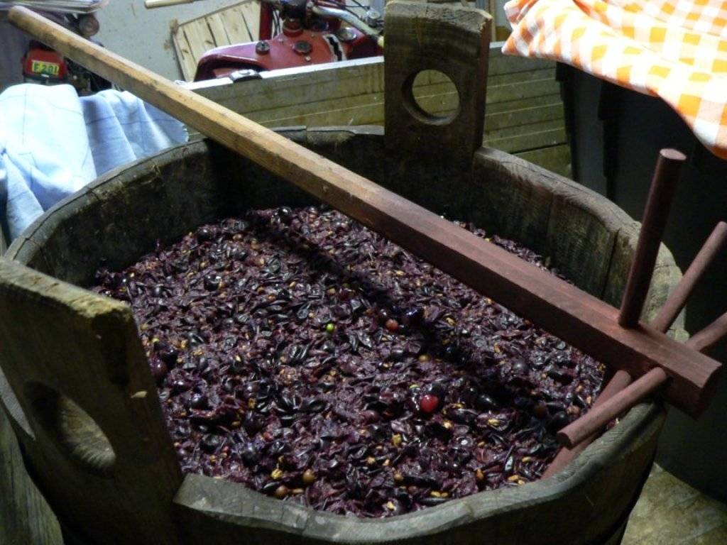 Вторичное вино из мезги винограда: рецепт, как сделать в домашних условиях повторный красный и белый напиток, и долго ли держать на жмыхе, сколько он должен бродить?