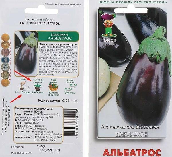 Альбатрос баклажан: описание, выращивание, уход, фото